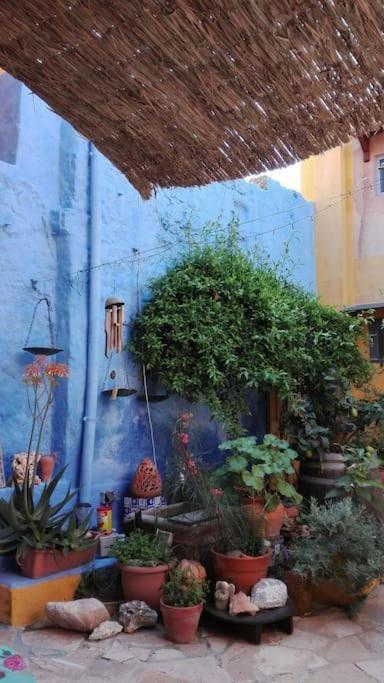 La Casa Del Frangipane Mariasole Rodi
