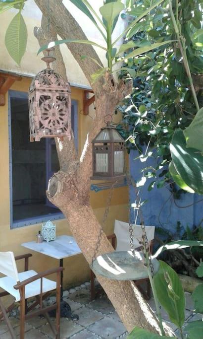 La Casa Del Frangipane Mariasole Rodi Apartment