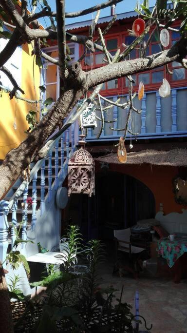La Casa Del Frangipane Mariasole Rodi Apartment