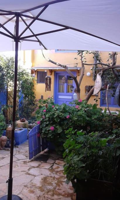 La Casa Del Frangipane Mariasole Rodi Apartment *